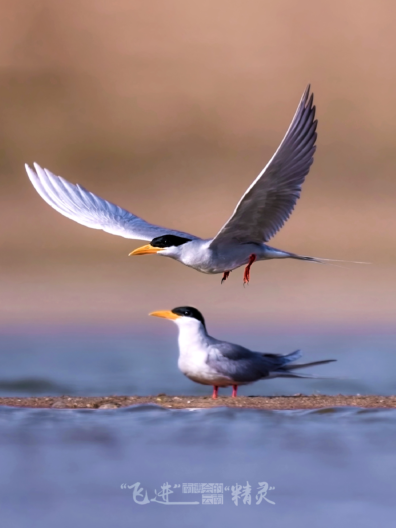 云南省文化和旅游厅