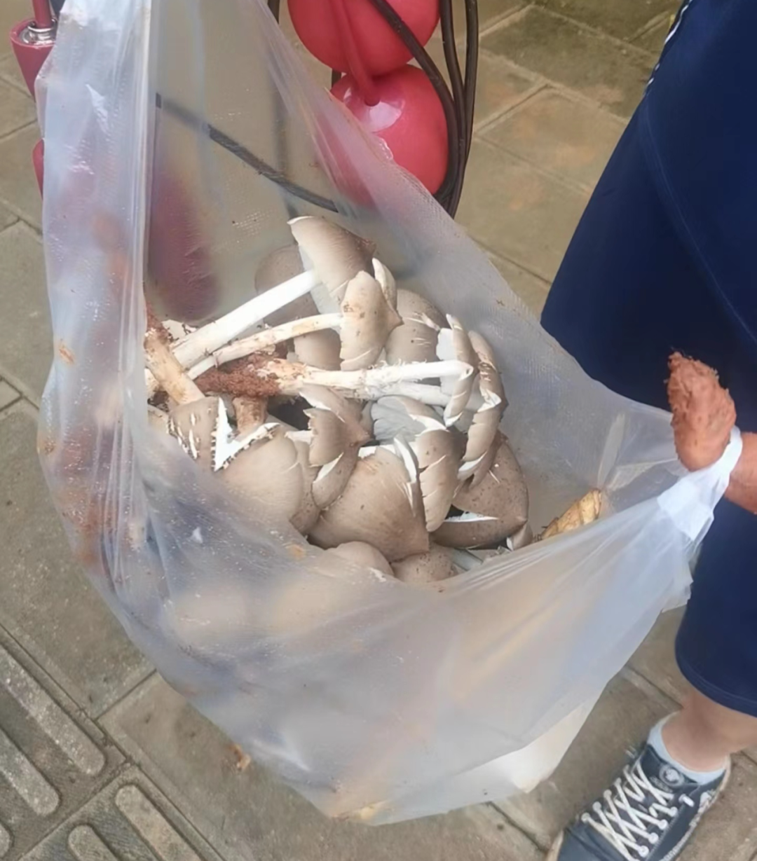 昆明信息港/cnkmxxg