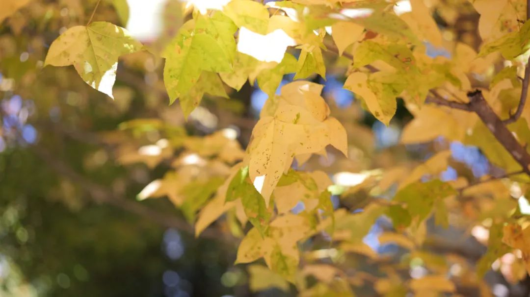 昆明阳宗海风景名胜区