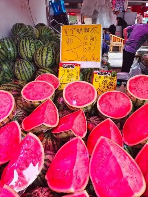掌上春城微信
