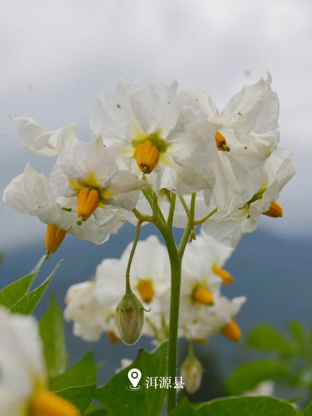 云南省文化和旅游厅