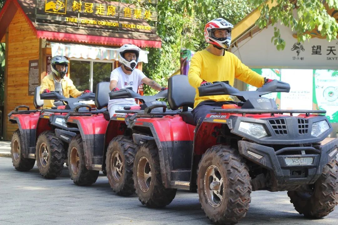 云南省文化和旅游厅