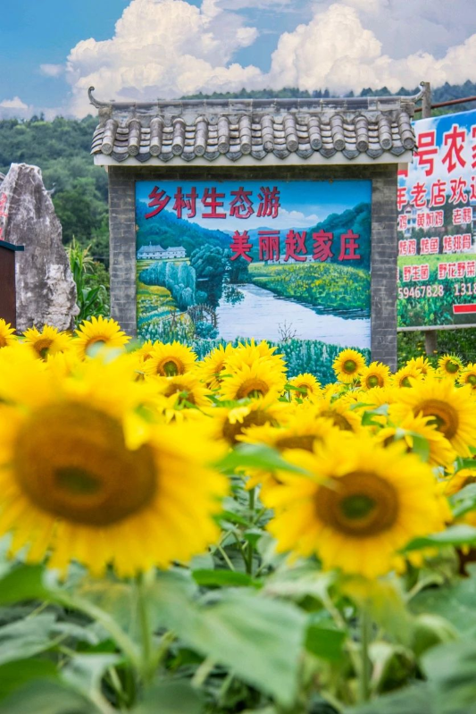 云南省文化和旅游厅