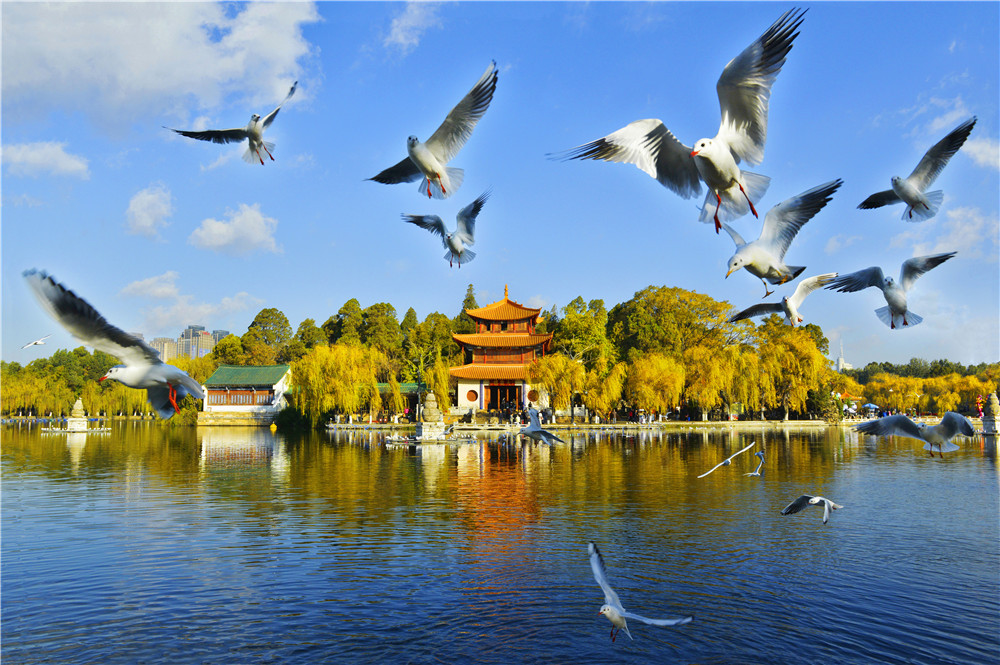 云南省文化和旅游厅