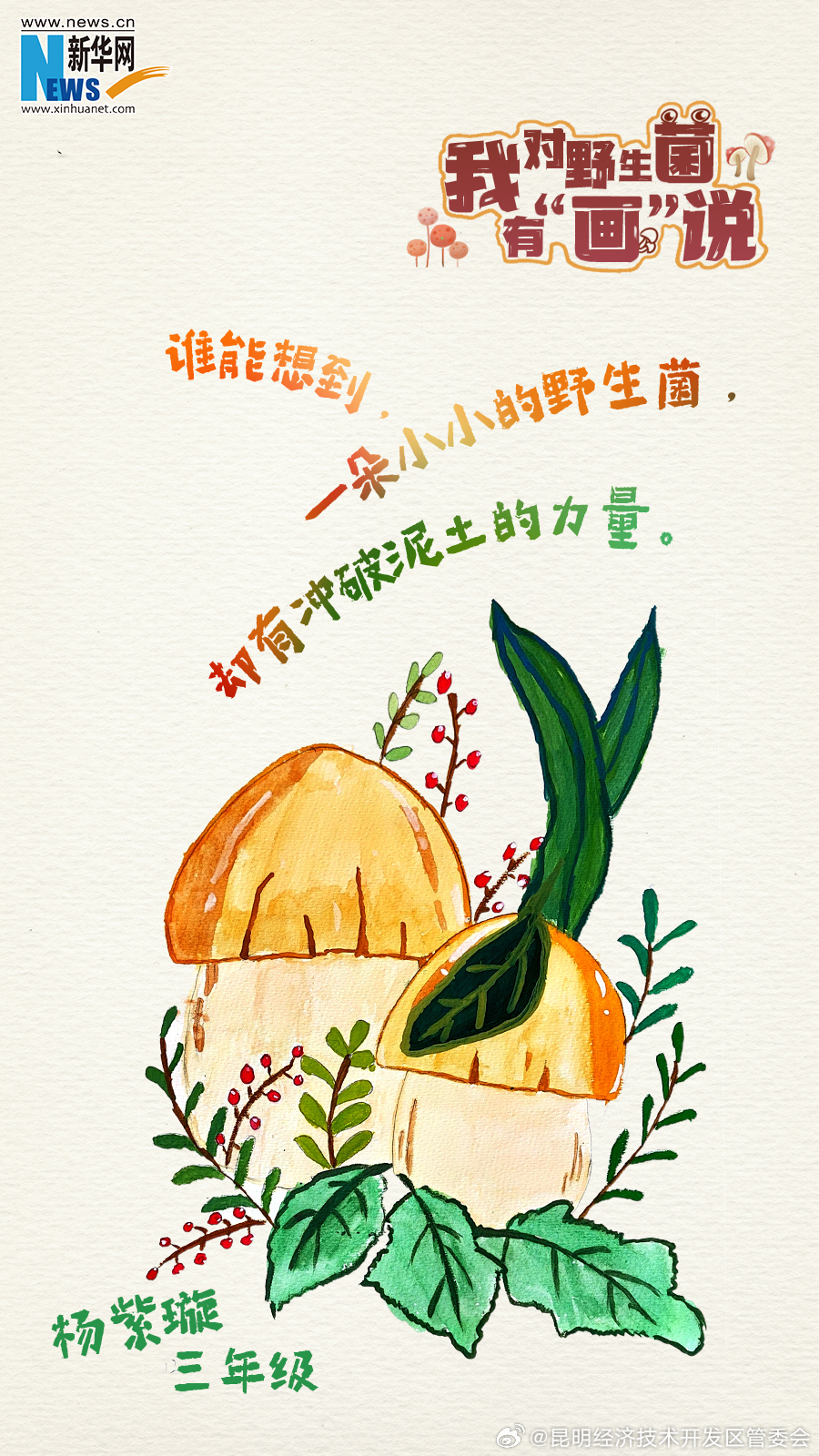 昆明经济技术开发区管委会