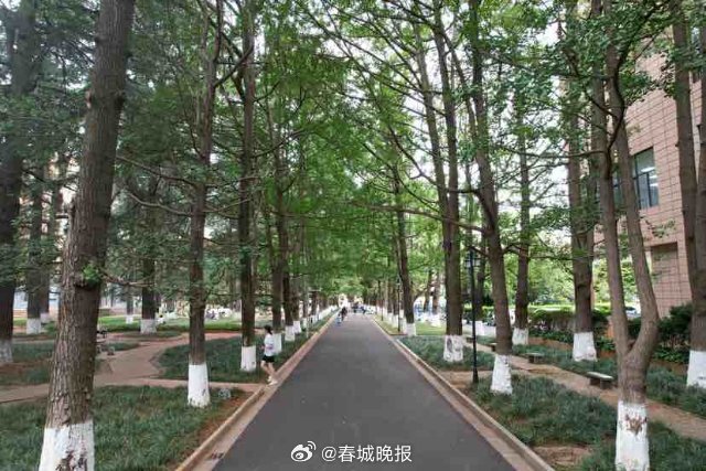 提醒！今明两天云南大学暂停对外开放