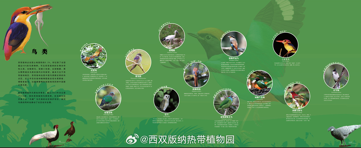 西双版纳热带植物园