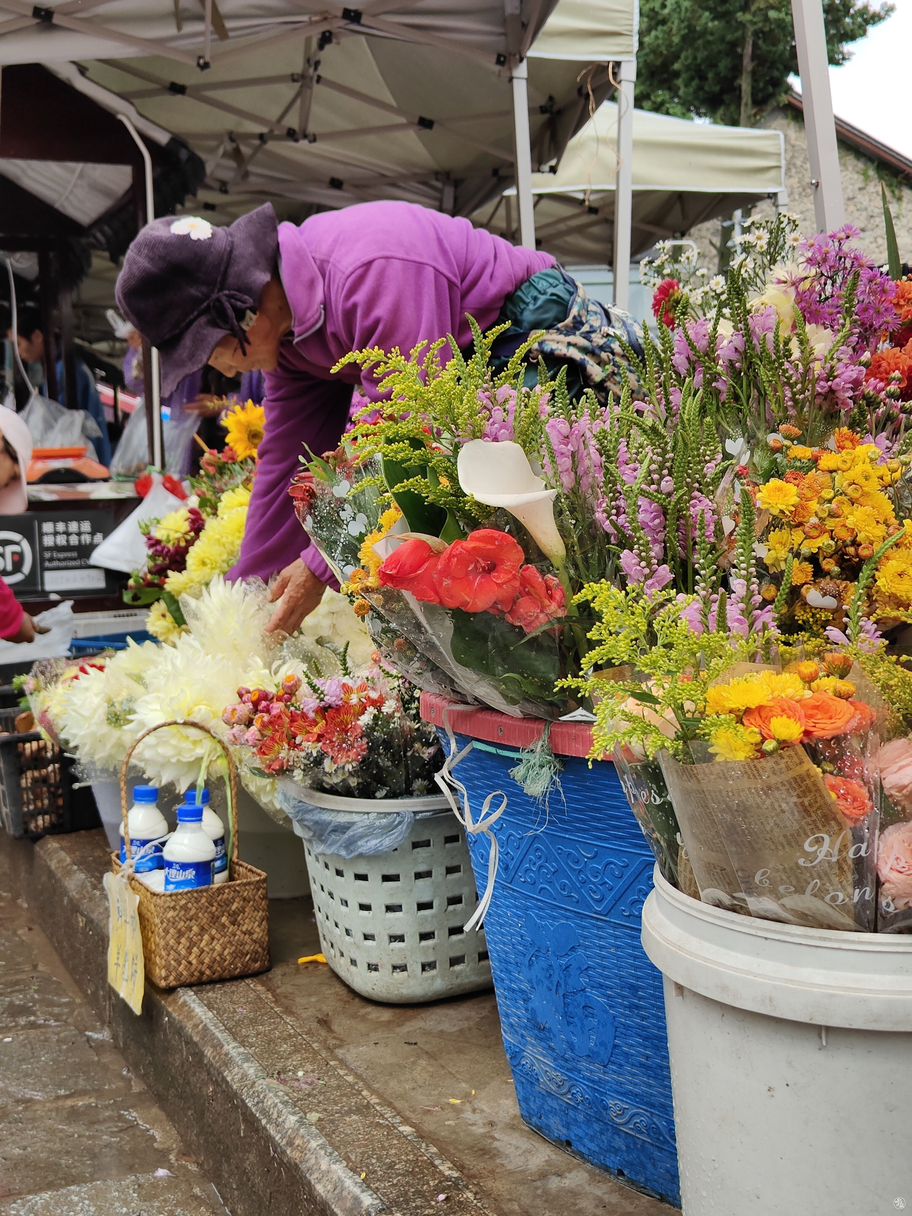 云南省文化和旅游厅
