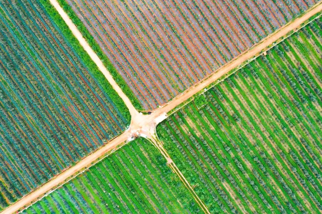 晋宁诗意的栖居地
