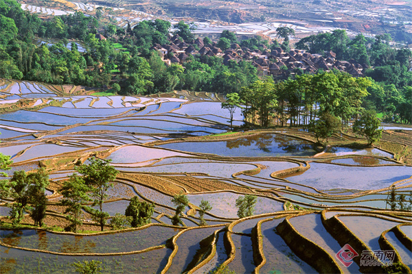 云南省文化和旅游厅