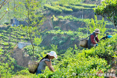 昆明经济技术开发区管委会