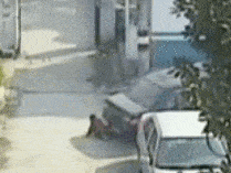 美丽云南微科普