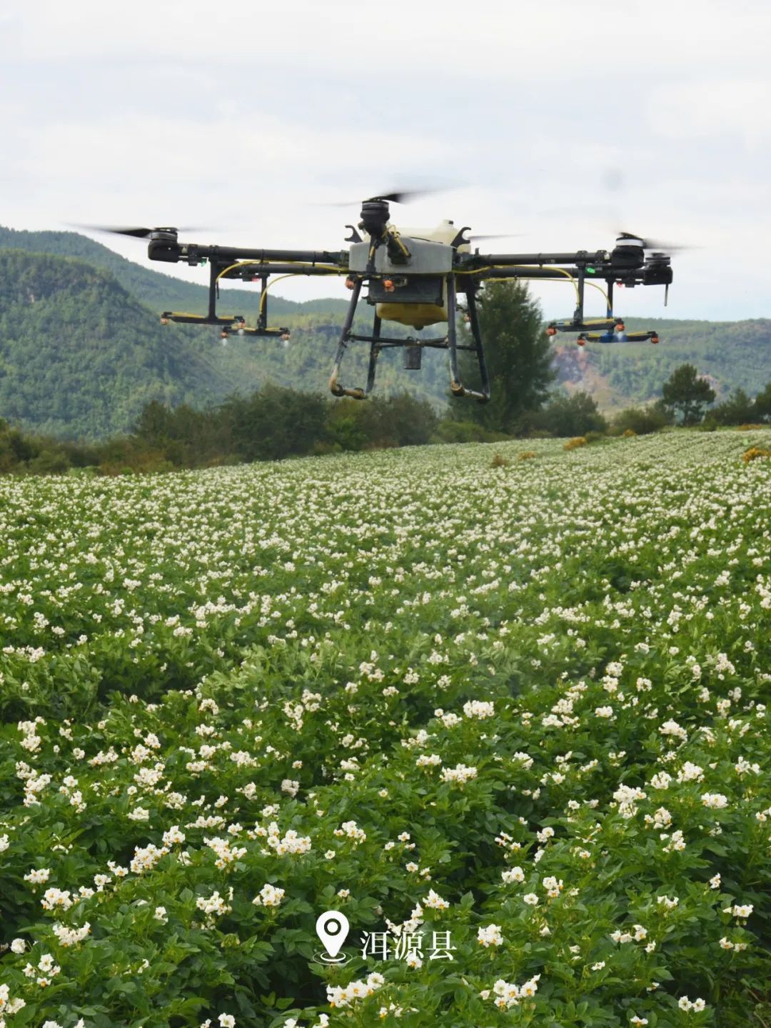 云南省文化和旅游厅