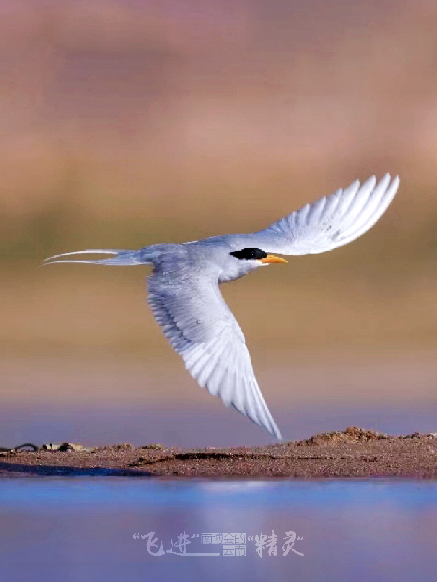 云南省文化和旅游厅