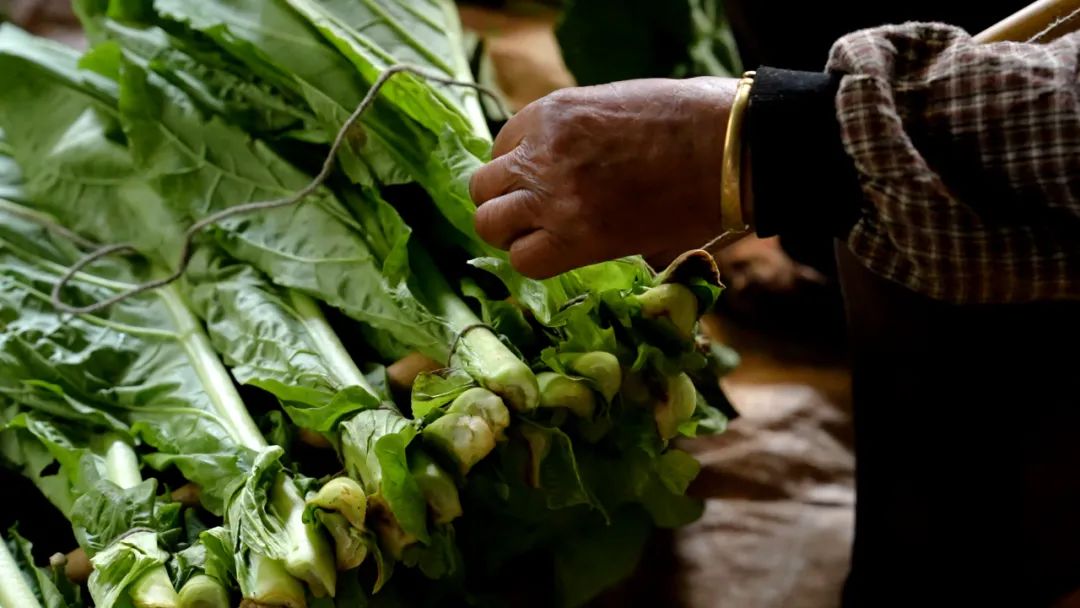 晋宁诗意的栖居地