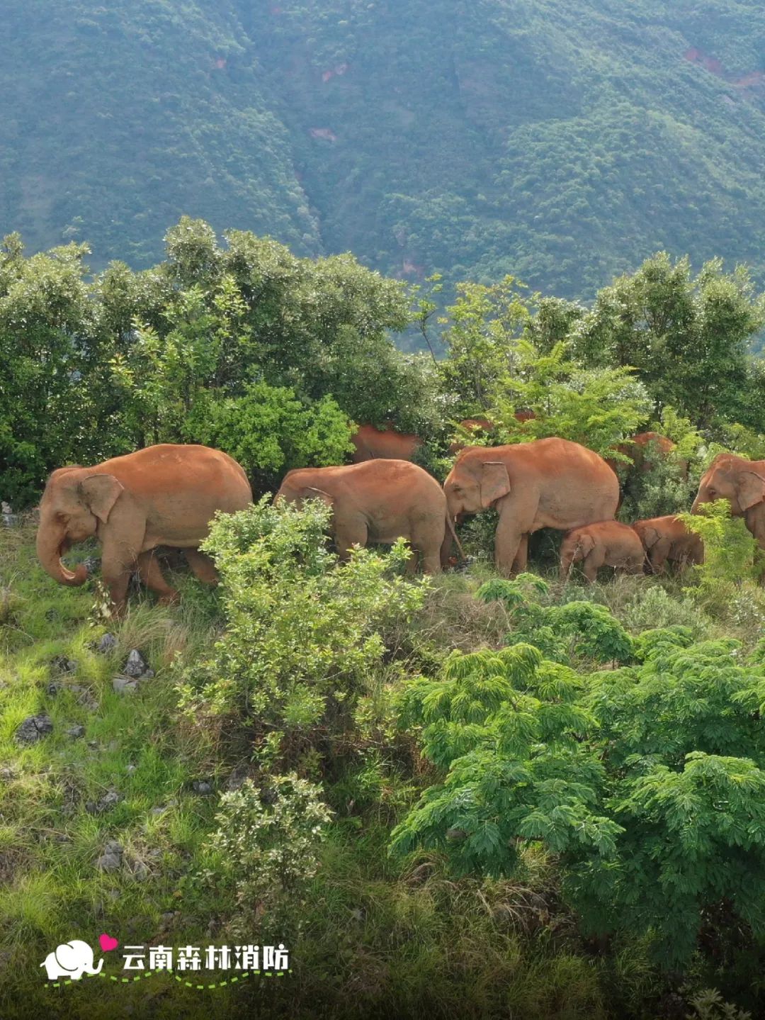 云南省文化和旅游厅
