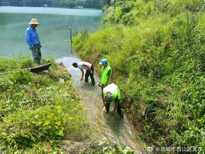 昆明市西山区发布
