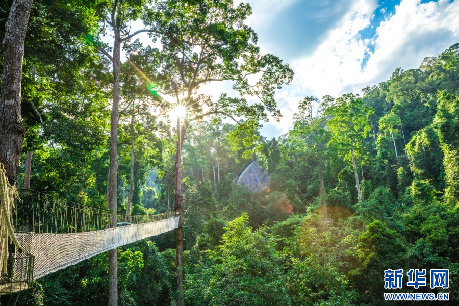 云南省文化和旅游厅