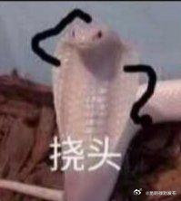 眼镜蛇能不能被自己的毒液杀死？