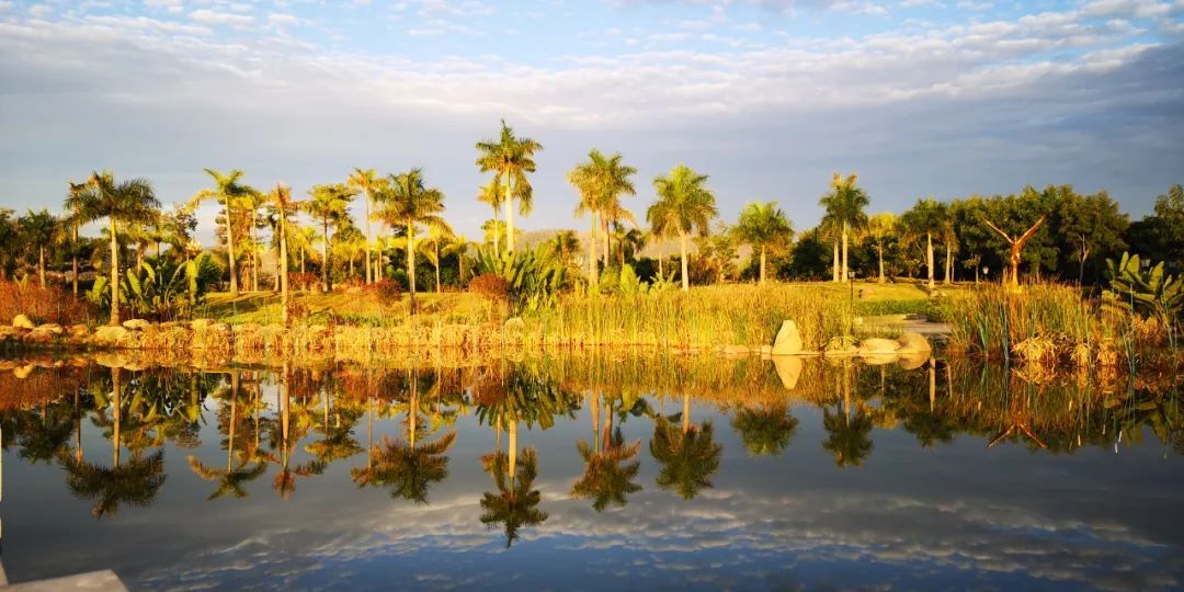 云南省文化和旅游厅