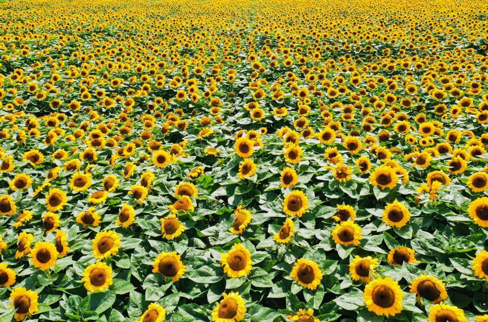 晋宁诗意的栖居地