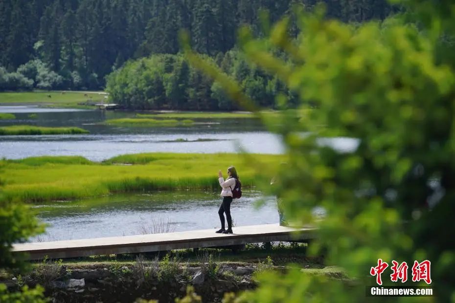 云南省文化和旅游厅
