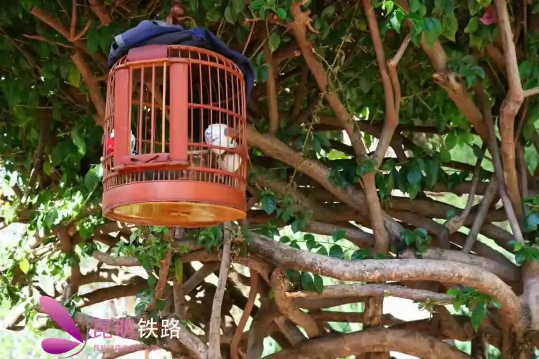昆明铁路