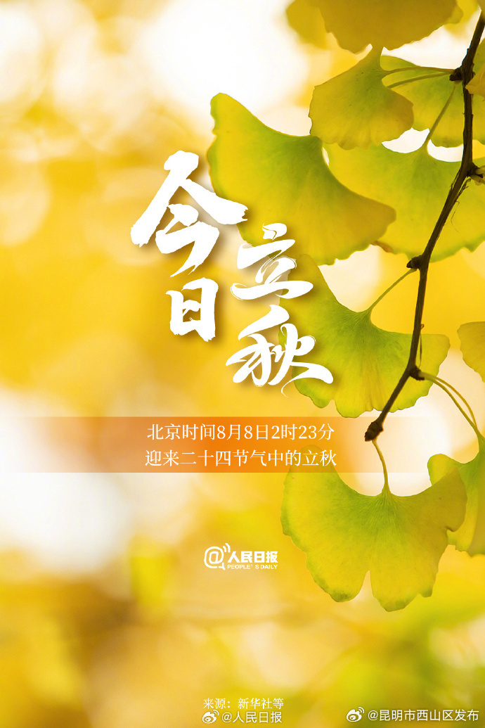 昆明市西山区发布