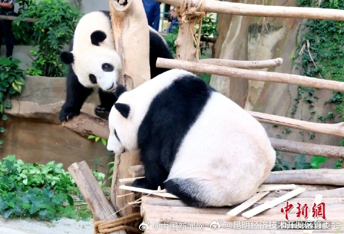 昆明经济技术开发区管委会