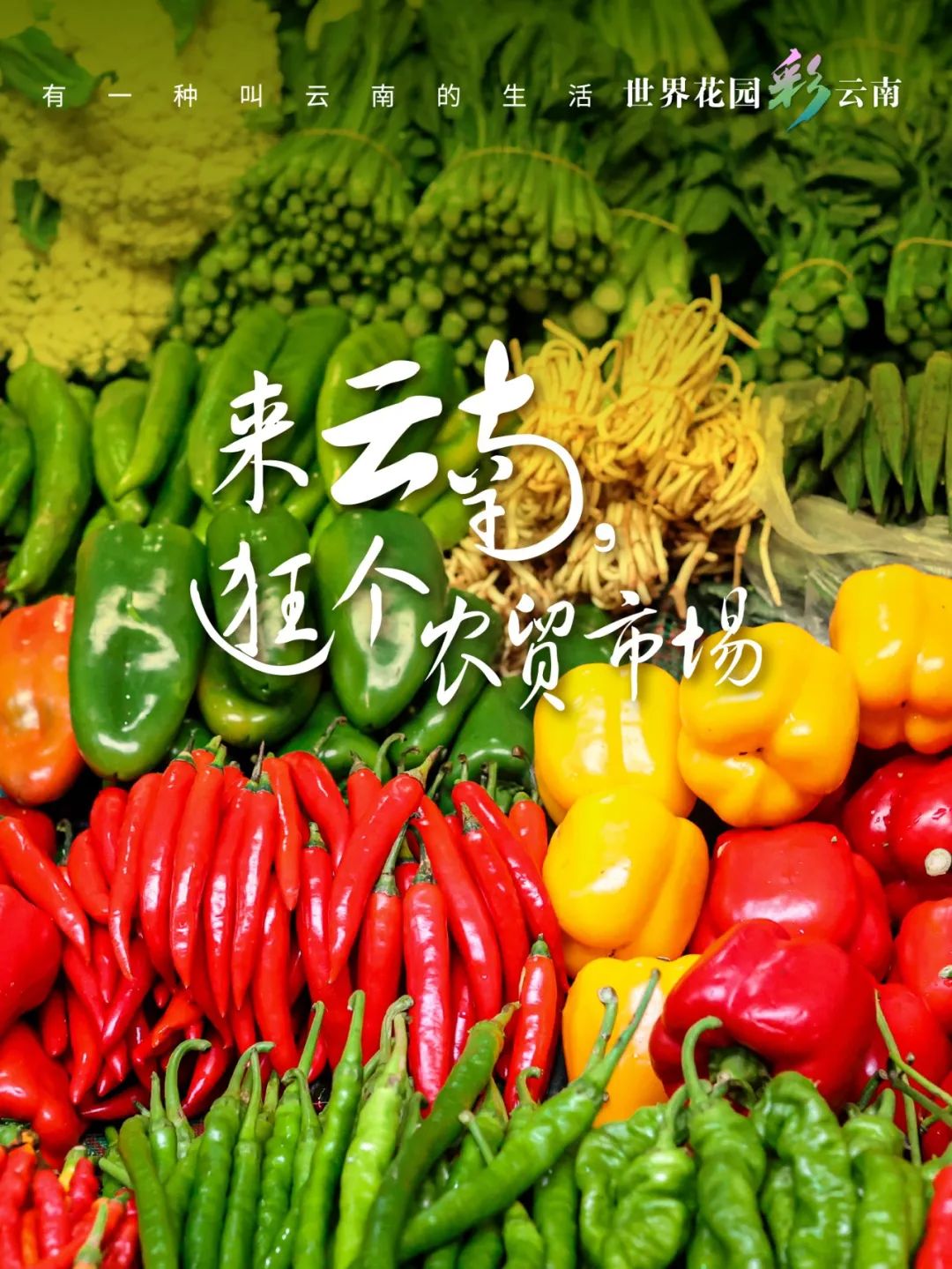 云南省文化和旅游厅