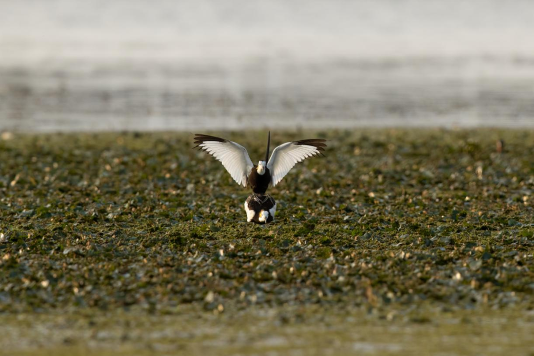 晋宁诗意的栖居地