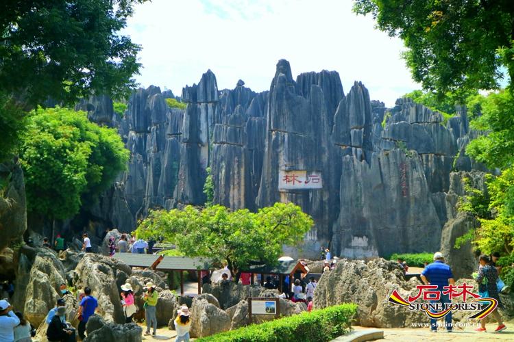 石林旅游网