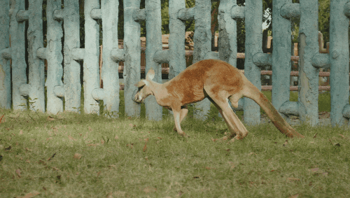 昆明市西山区图书馆