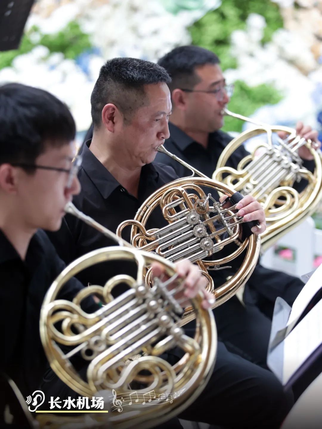 云南省文化和旅游厅