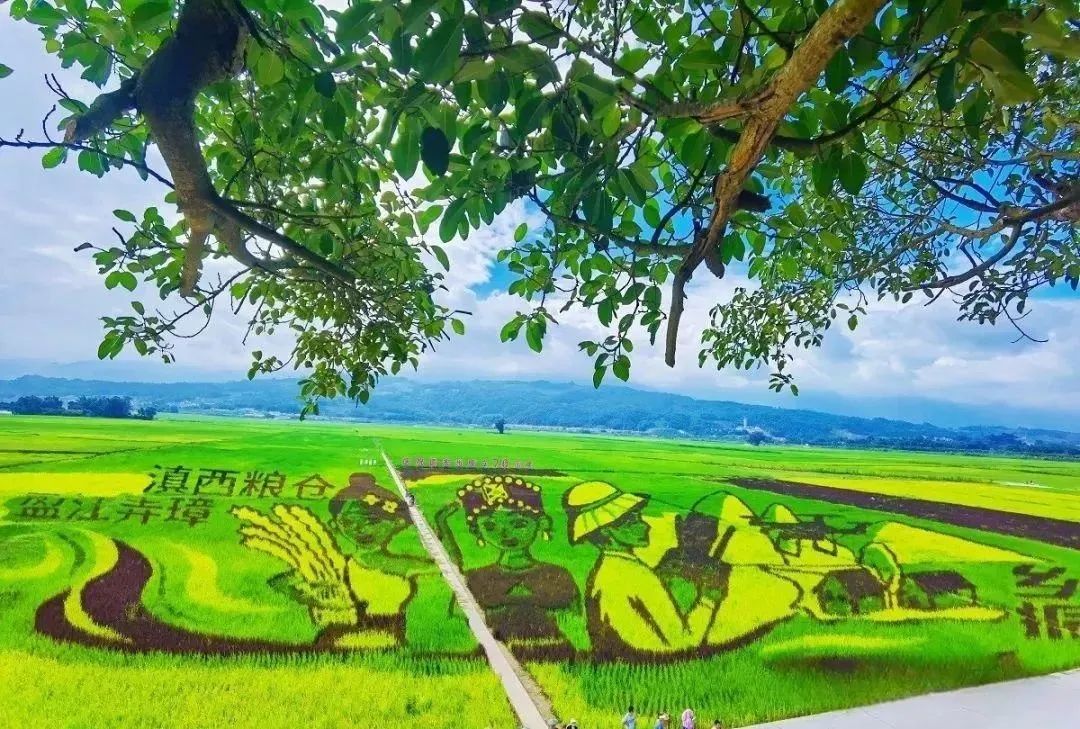 云南政法