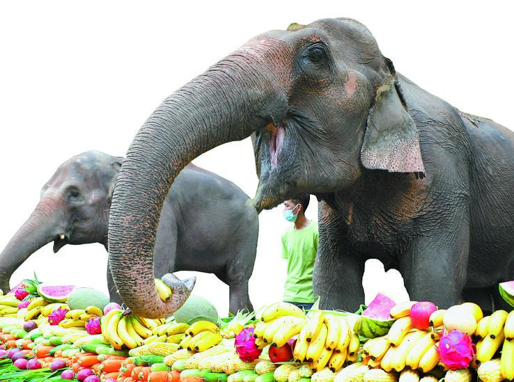 云南省文化和旅游厅