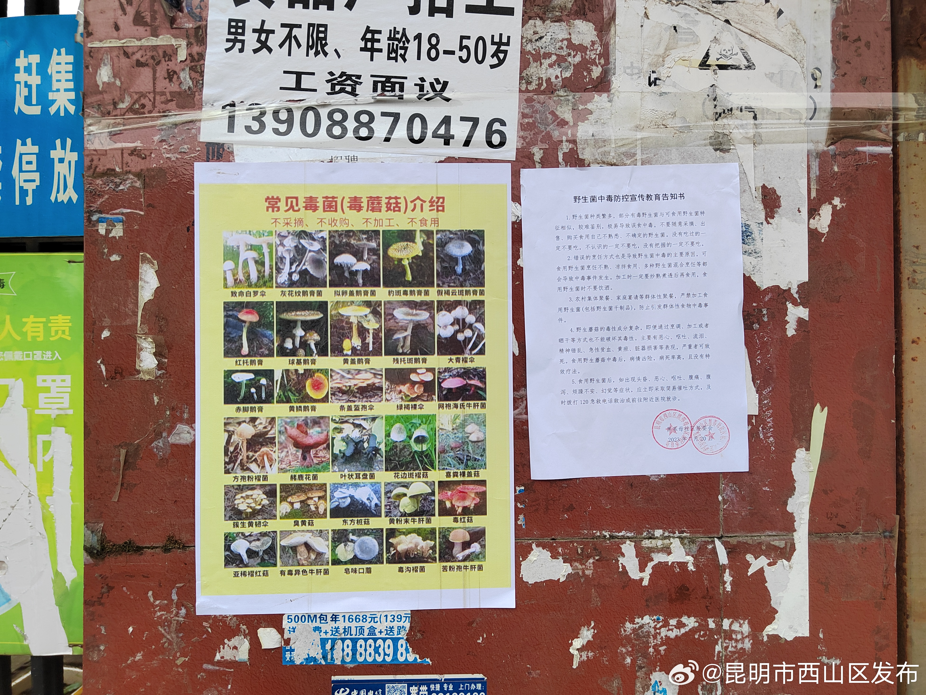 昆明市西山区发布