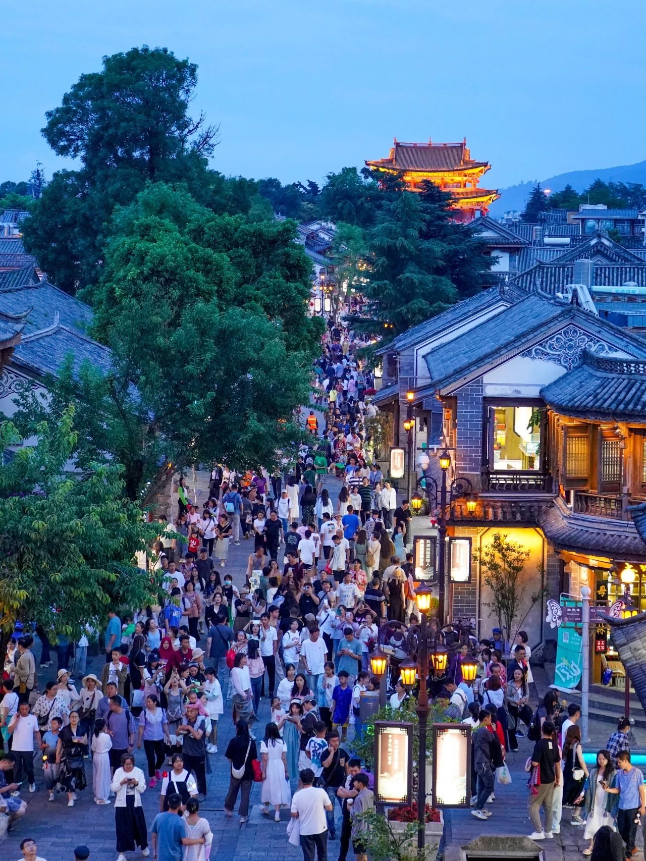 云南省文化和旅游厅