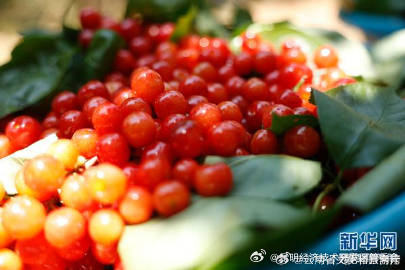 昆明经济技术开发区管委会