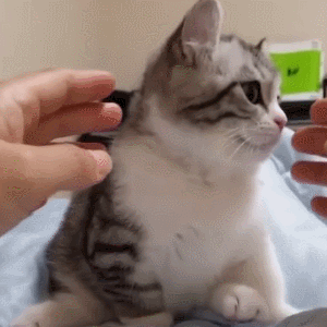 昆明交警