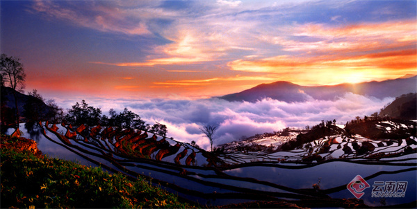 云南省文化和旅游厅