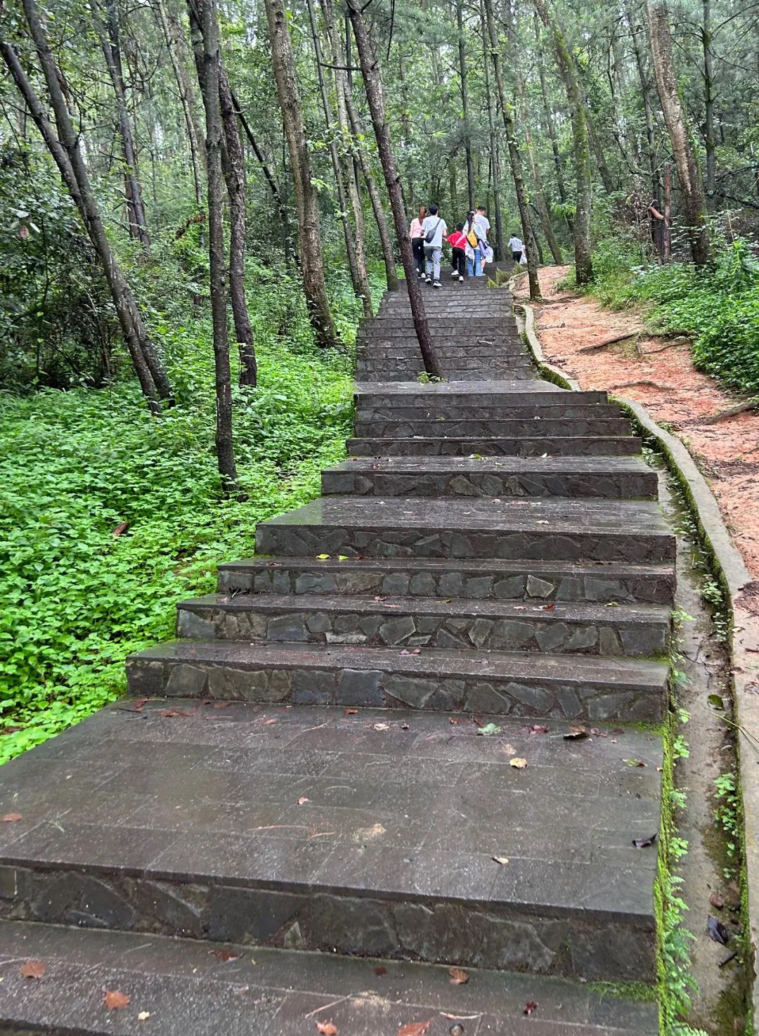 云南野生动物园