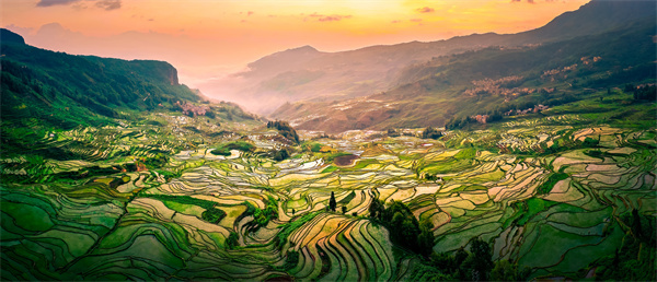 云南省文化和旅游厅