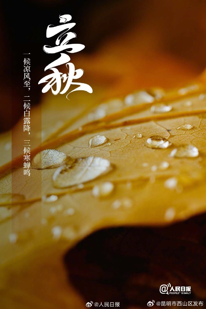 昆明市西山区发布