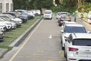 美丽云南微科普