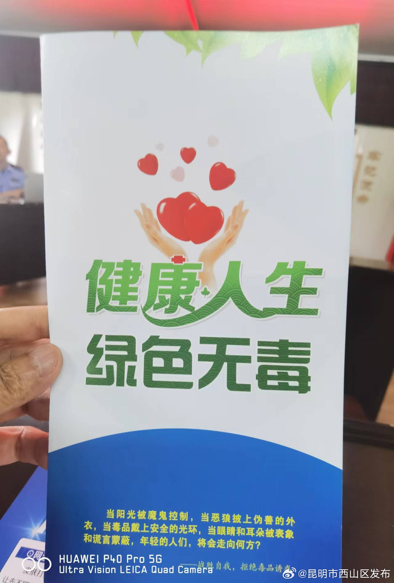 昆明市西山区发布