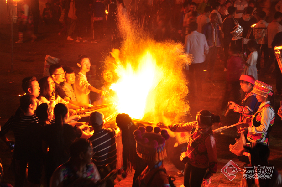 云南省文化和旅游厅