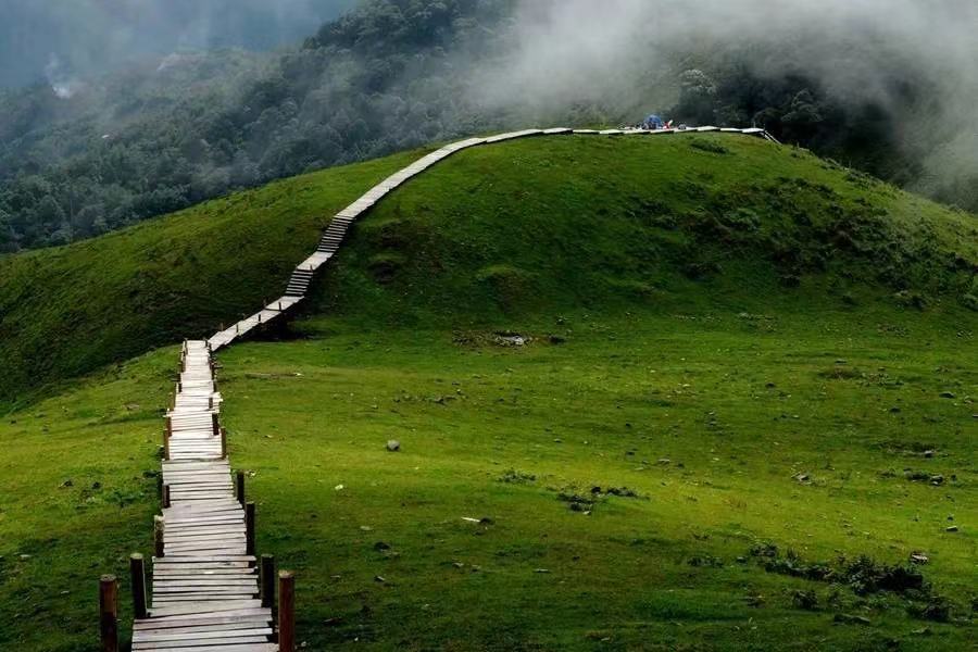 云南省文化和旅游厅