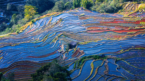云南省文化和旅游厅