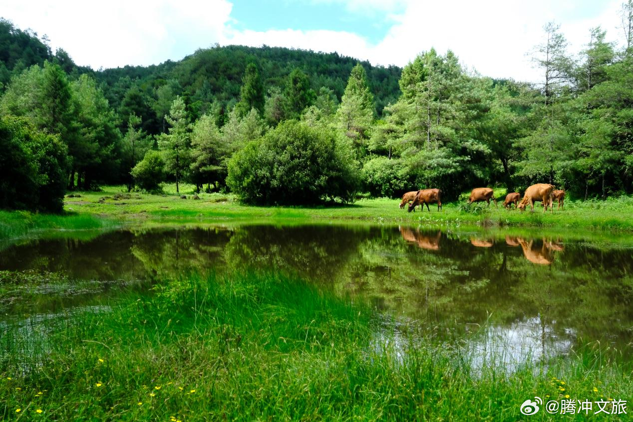 腾冲文旅